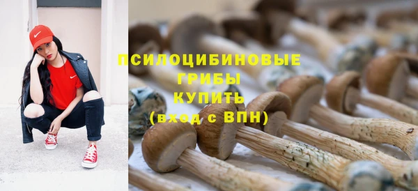метадон Инсар