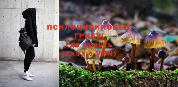 герыч Белокуриха