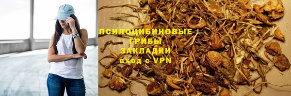дурь Богданович